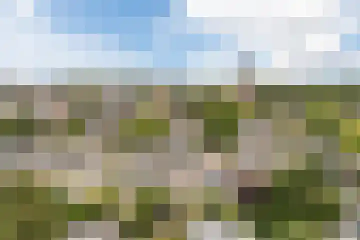 Palestrinalaan 15 Voorschoten thumbnail 41