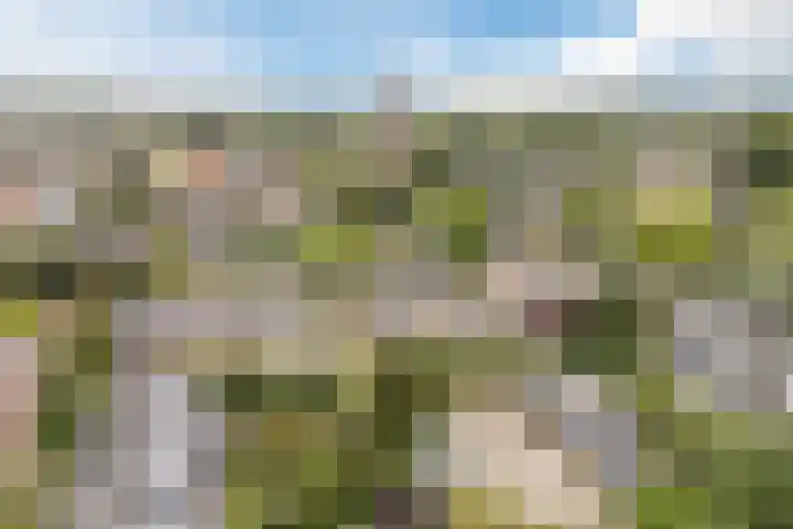 Palestrinalaan 15 Voorschoten thumbnail 42
