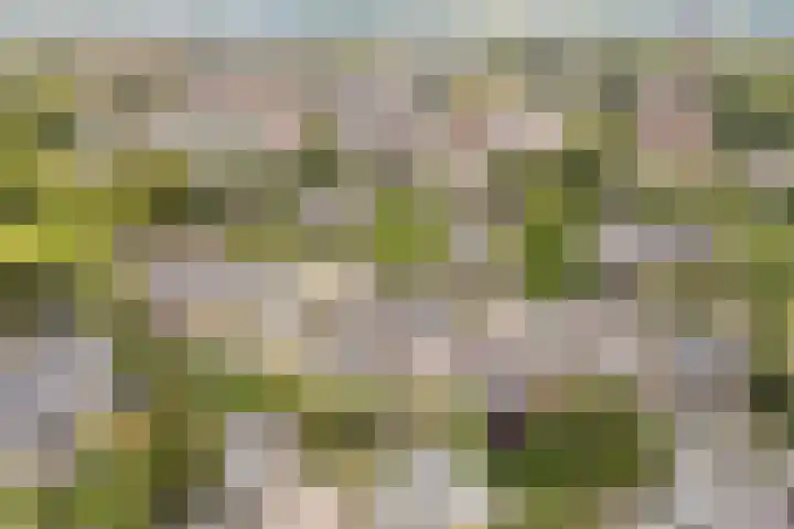 Palestrinalaan 15 Voorschoten thumbnail 43