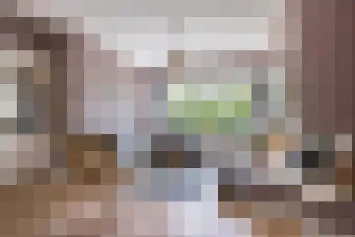 Palestrinalaan 15 Voorschoten thumbnail 9