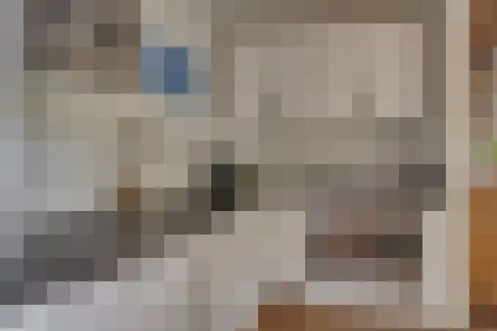 Palestrinalaan 17 Bilthoven thumbnail 13