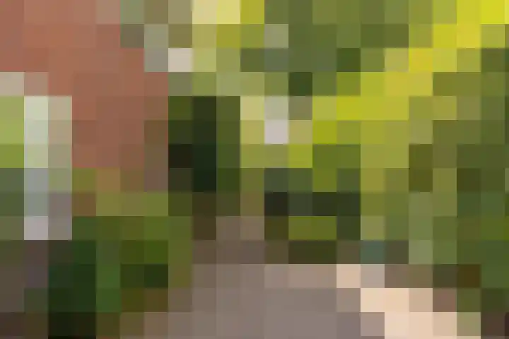 Palestrinalaan 17 Bilthoven thumbnail 15