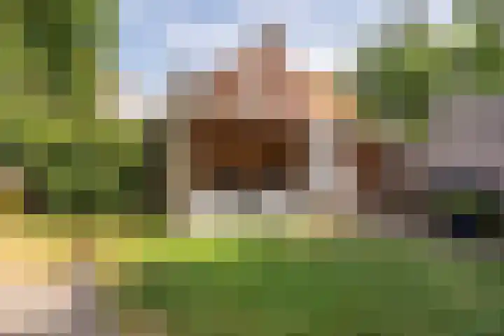 Palestrinalaan 17 Bilthoven thumbnail 16