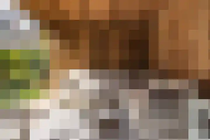 Palestrinalaan 17 Bilthoven thumbnail 18