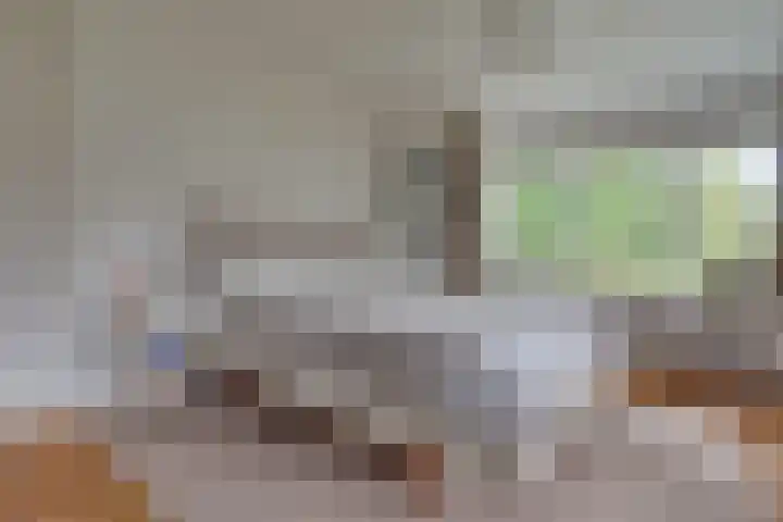 Palestrinalaan 17 Bilthoven thumbnail 22