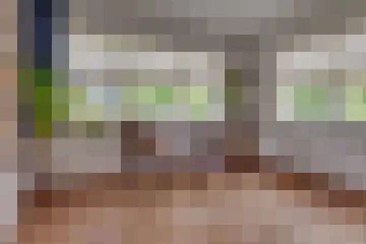 Palestrinalaan 17 Bilthoven thumbnail 24