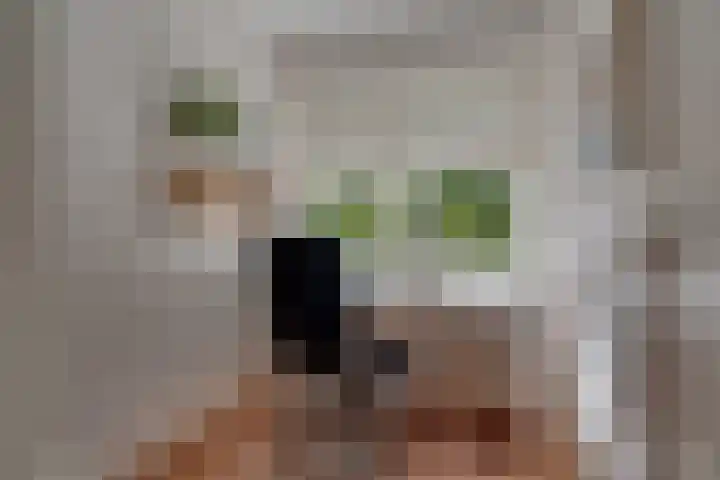 Palestrinalaan 17 Bilthoven thumbnail 27