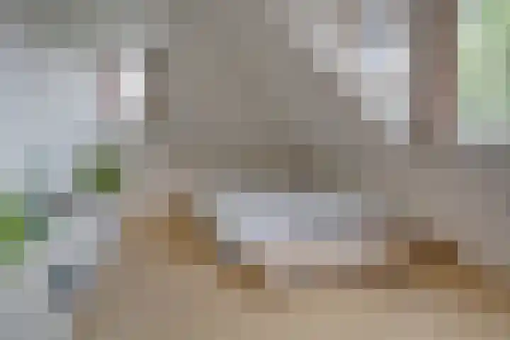 Palestrinalaan 17 Bilthoven thumbnail 34