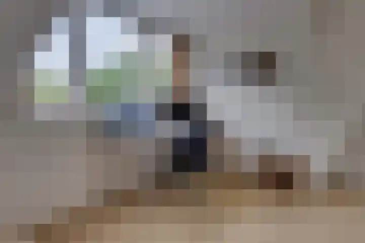 Palestrinalaan 17 Bilthoven thumbnail 35