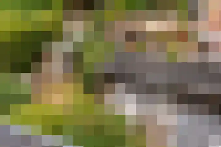Palestrinalaan 17 Bilthoven thumbnail 36