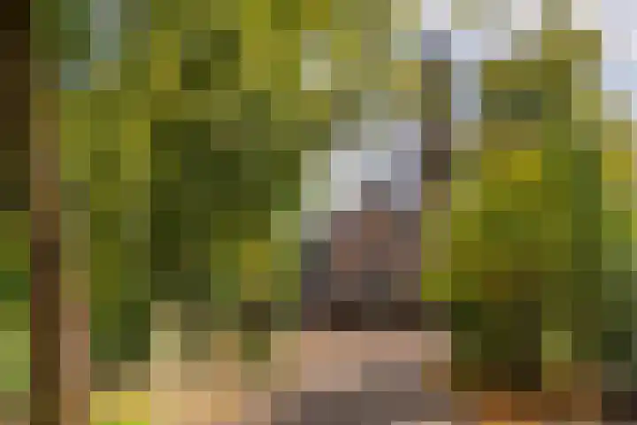 Palestrinalaan 17 Bilthoven thumbnail 37