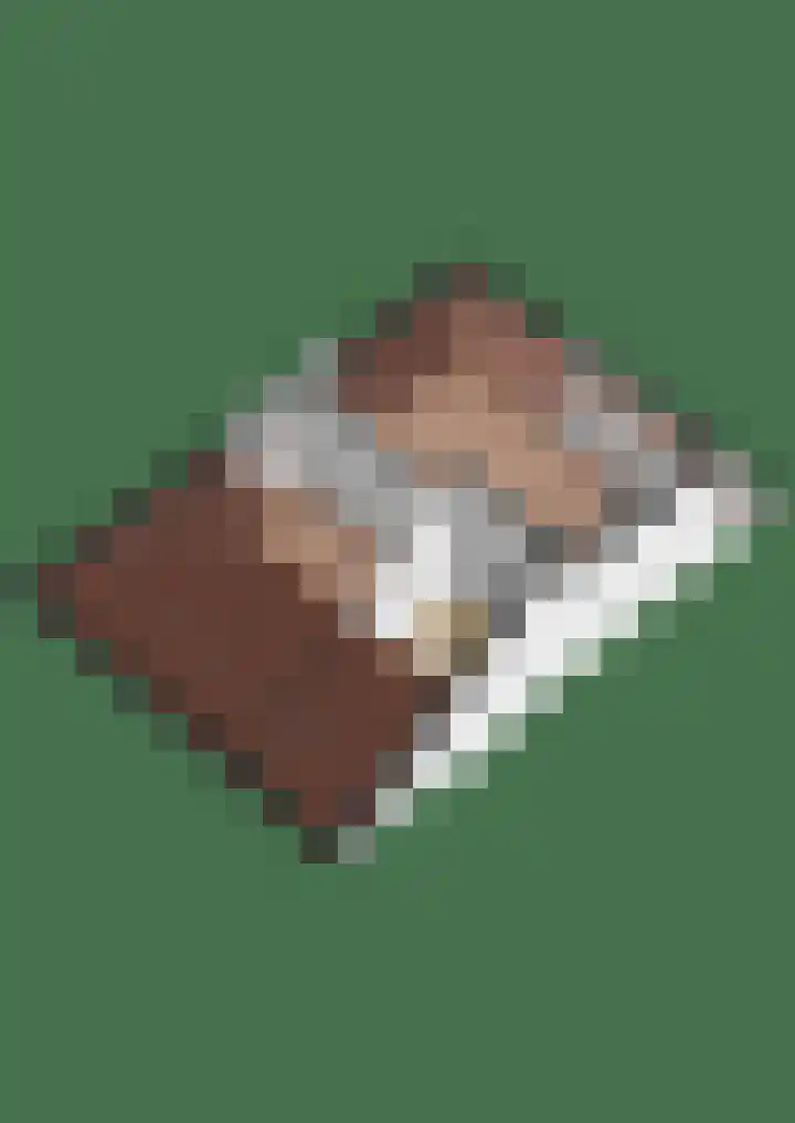 Palestrinalaan 17 Bilthoven thumbnail 46