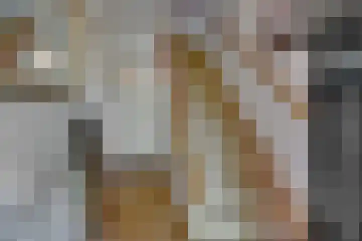 Palestrinalaan 17 Bilthoven thumbnail 5