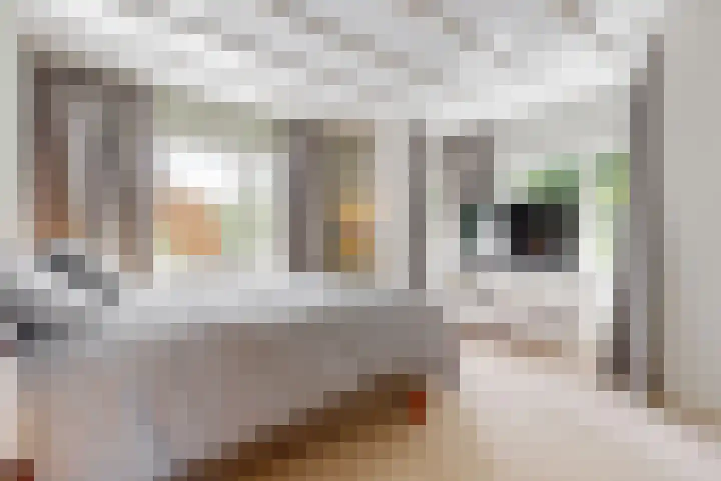 Palestrinalaan 19 Bilthoven thumbnail 21