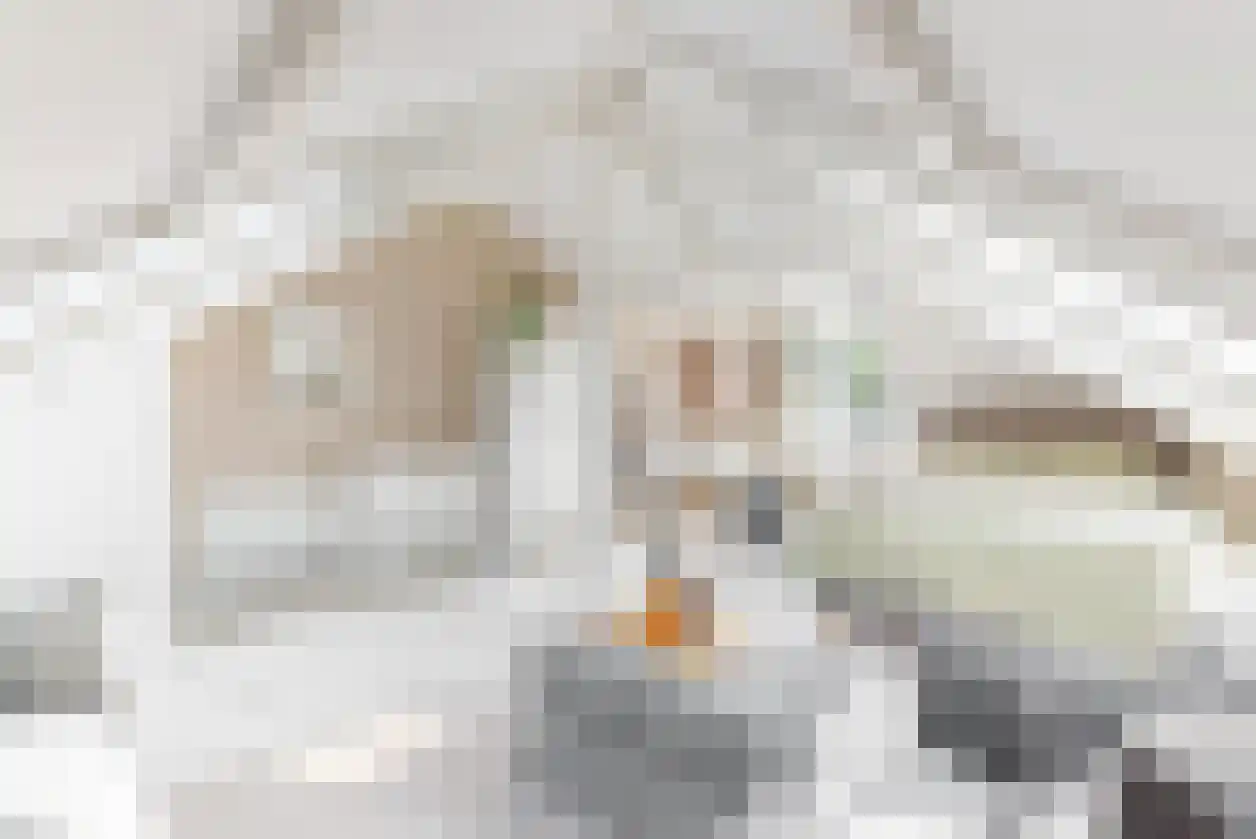 Palestrinalaan 19 Bilthoven thumbnail 30