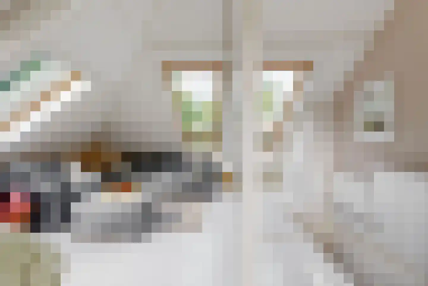 Palestrinalaan 19 Bilthoven thumbnail 31
