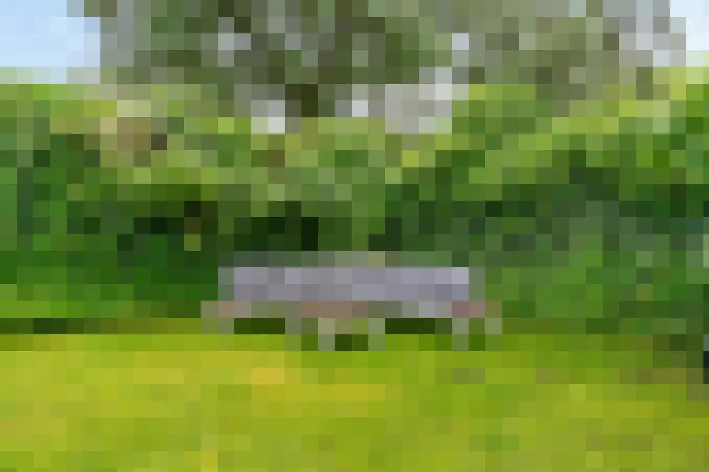 Palestrinalaan 19 Bilthoven thumbnail 35