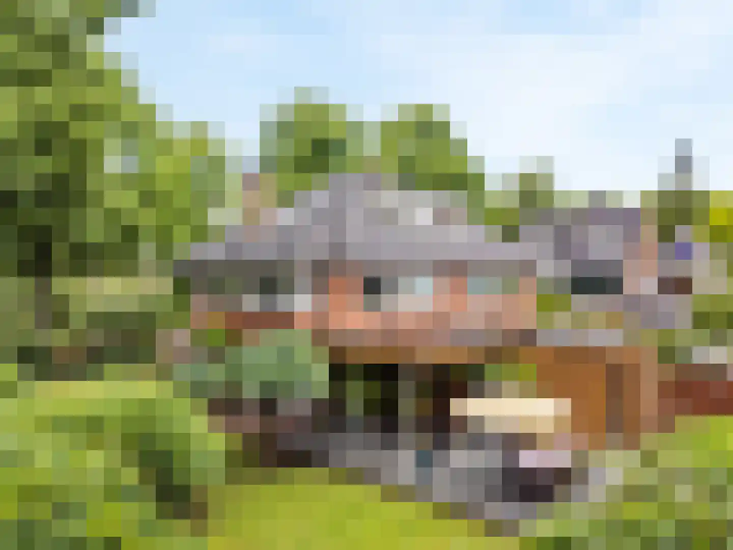 Palestrinalaan 19 Bilthoven thumbnail 39