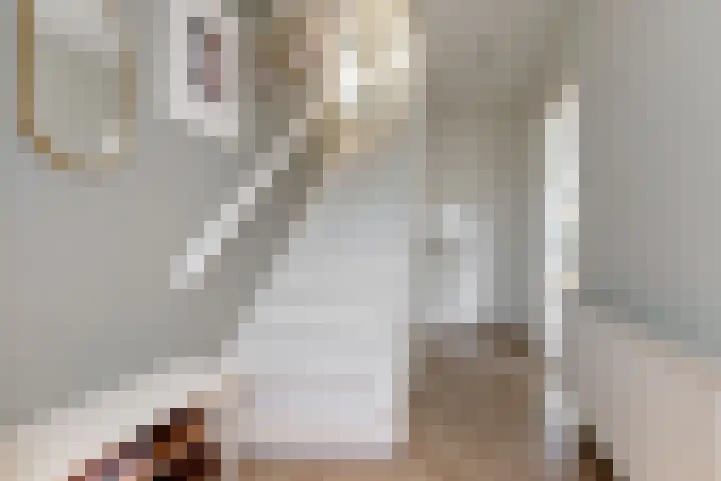 Palestrinalaan 19 Bilthoven thumbnail 6