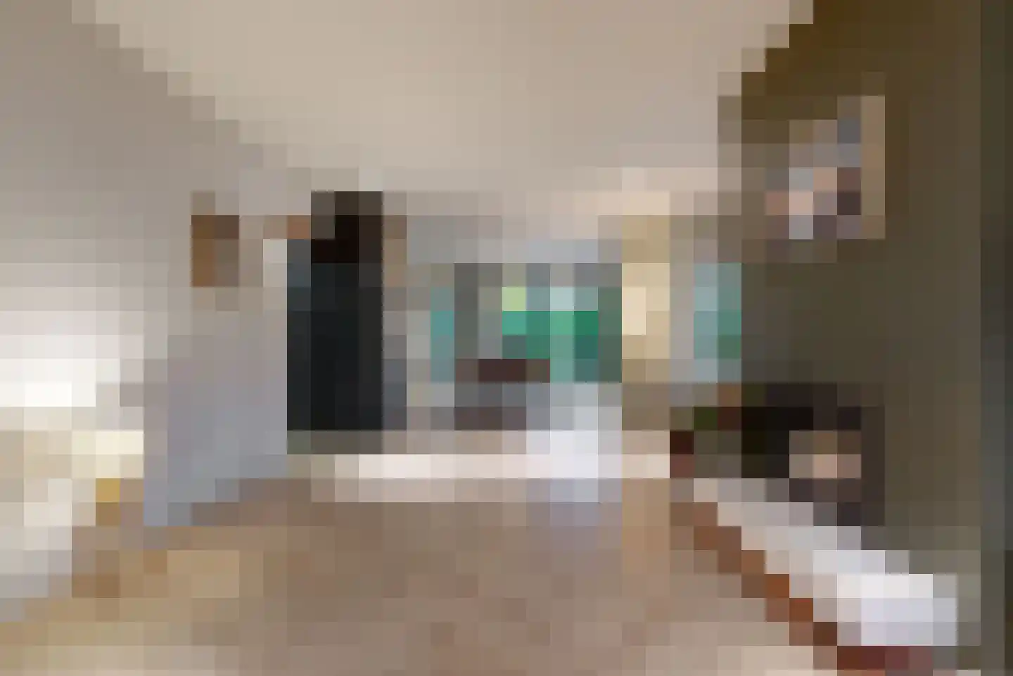 Palestrinalaan 19 Bilthoven thumbnail 8