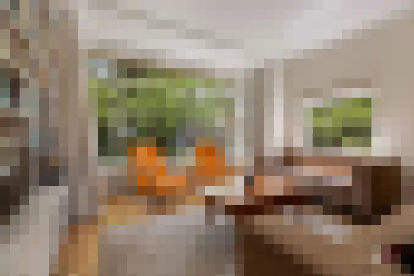 Palestrinalaan 39 Voorschoten thumbnail 10