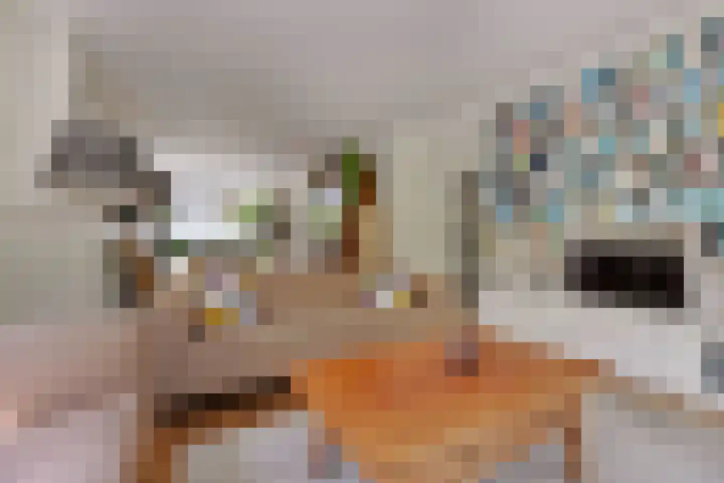 Palestrinalaan 39 Voorschoten thumbnail 11