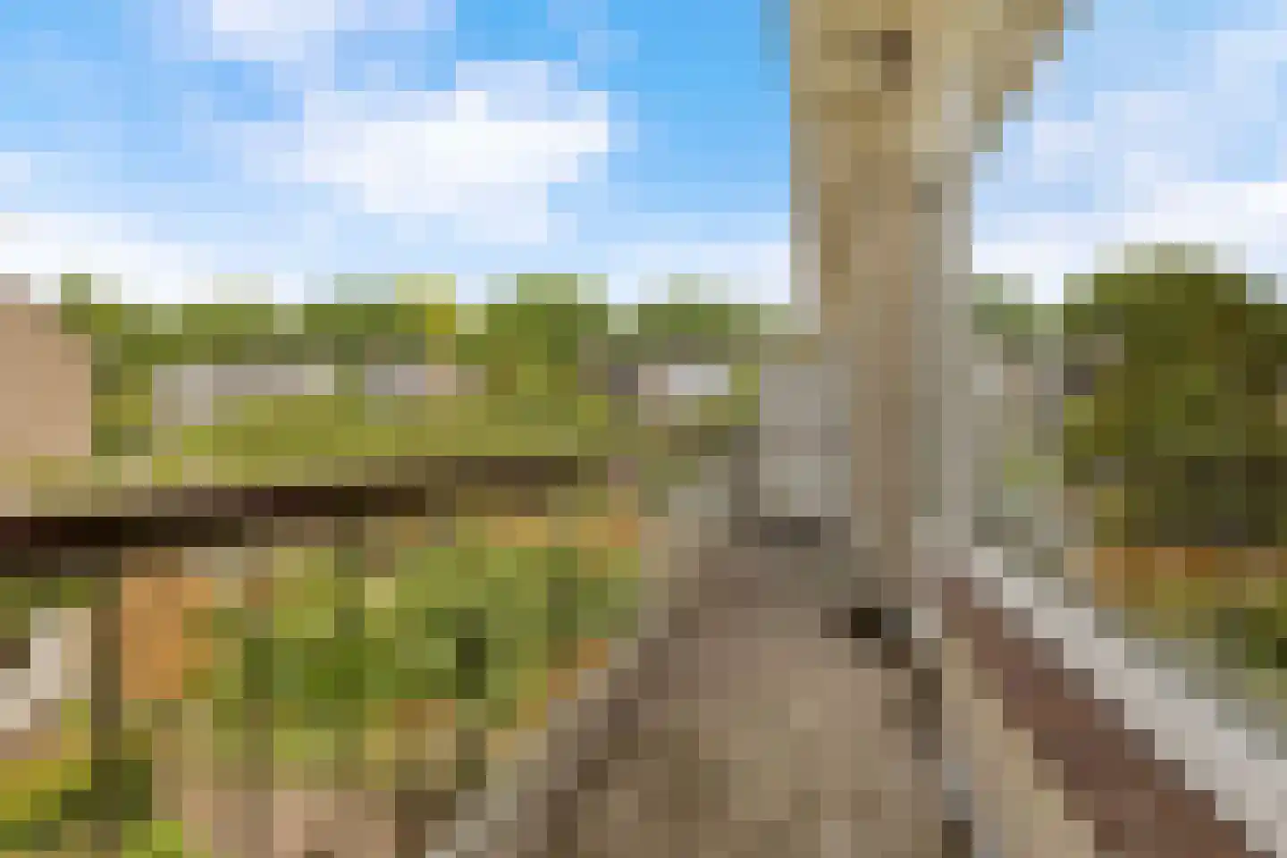 Palestrinalaan 39 Voorschoten thumbnail 29