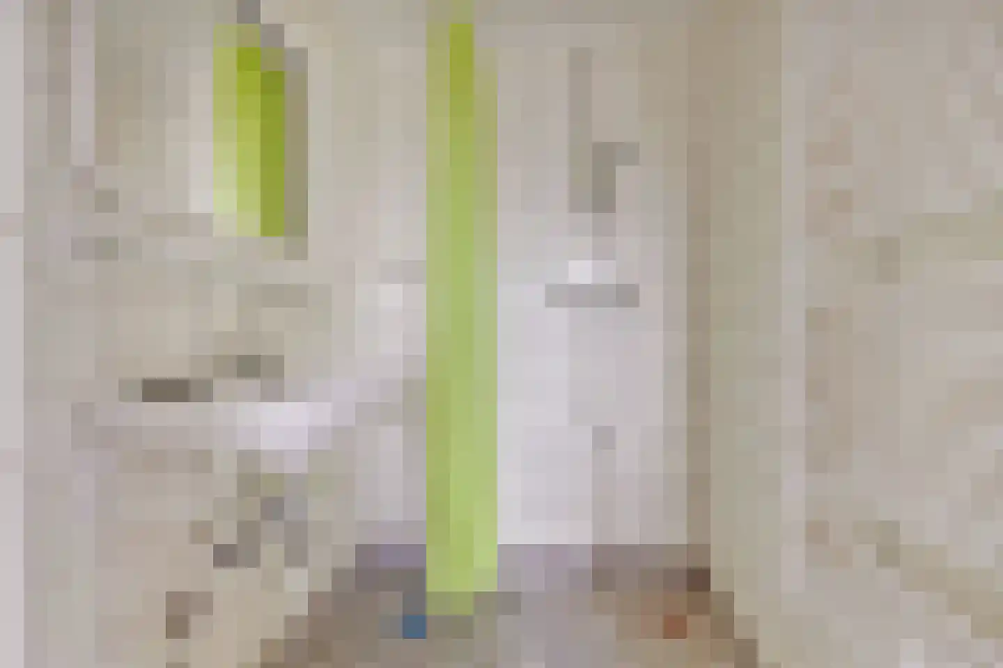 Palestrinalaan 39 Voorschoten thumbnail 36