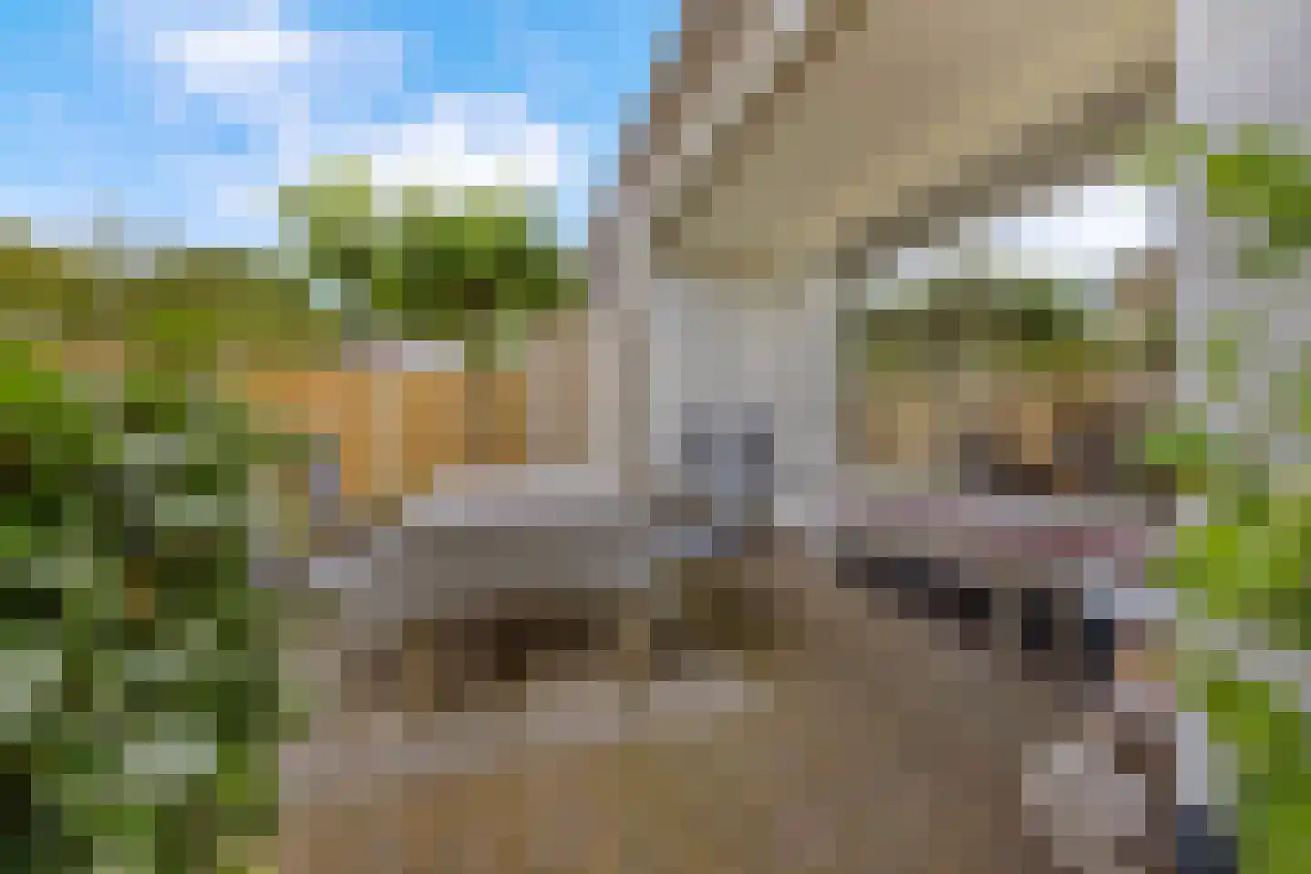 Palestrinalaan 39 Voorschoten thumbnail 38