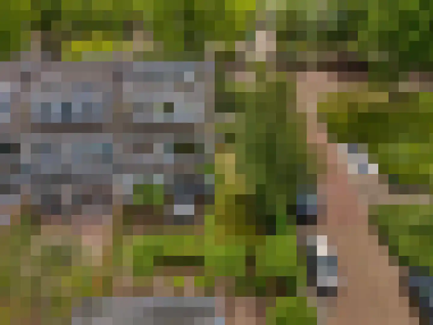 Palestrinalaan 39 Voorschoten thumbnail 4