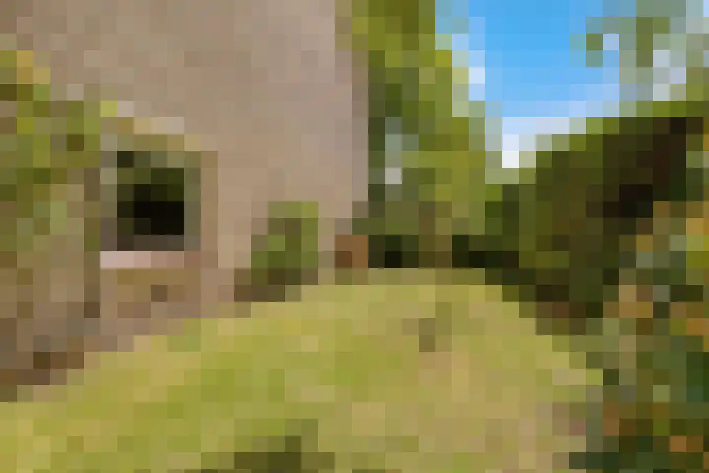 Palestrinalaan 39 Voorschoten thumbnail 41