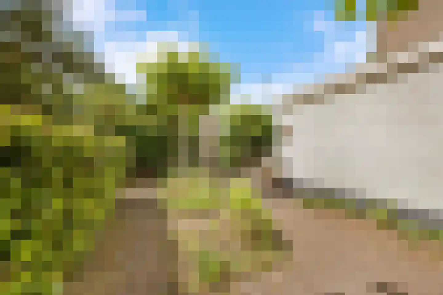 Palestrinalaan 39 Voorschoten thumbnail 42