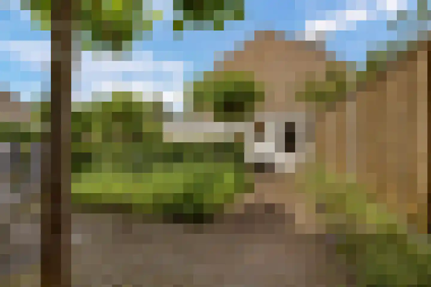 Palestrinalaan 39 Voorschoten thumbnail 43