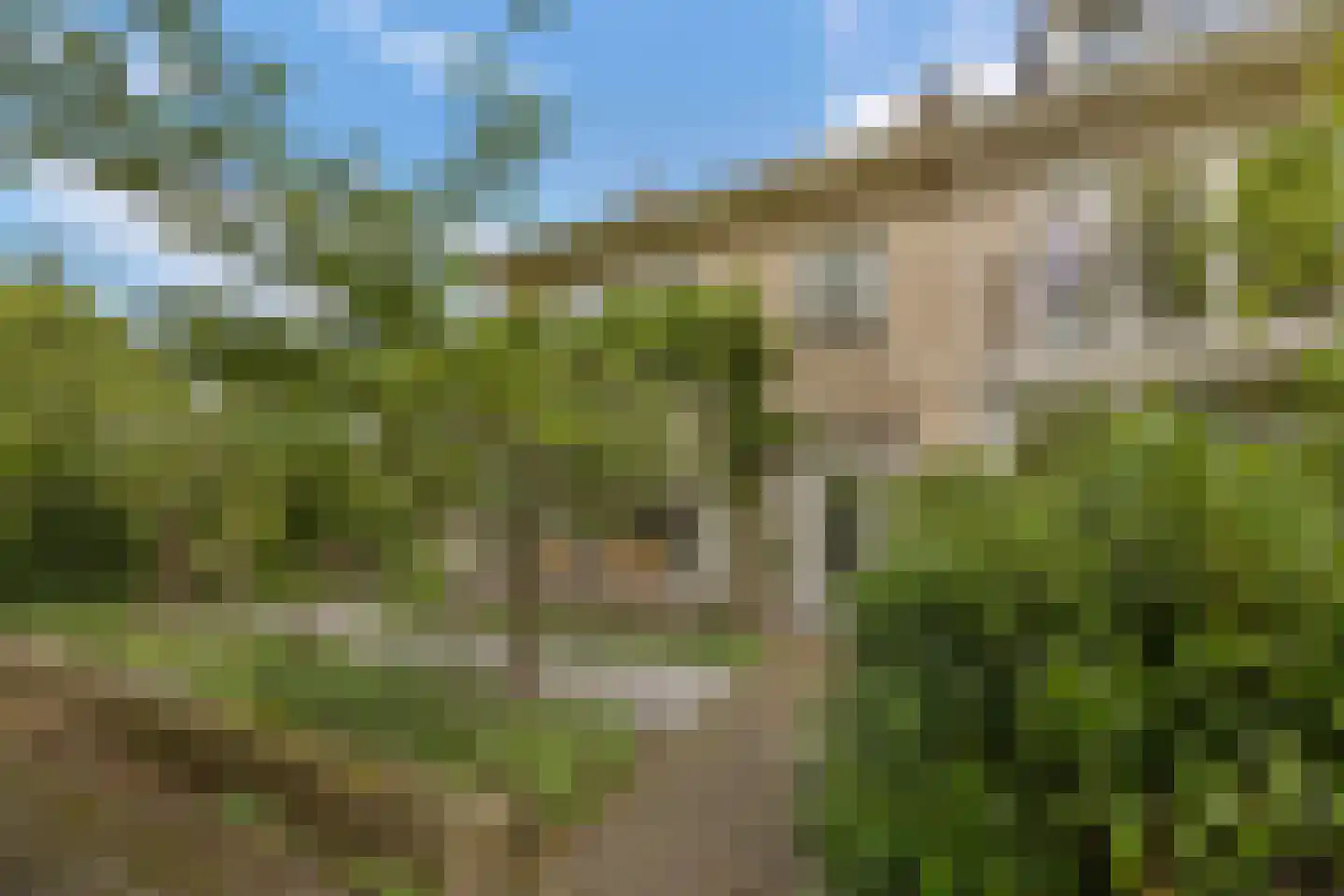 Palestrinalaan 39 Voorschoten thumbnail 7
