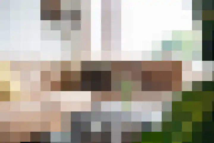 Palestrinalaan 78 Zwolle thumbnail 16