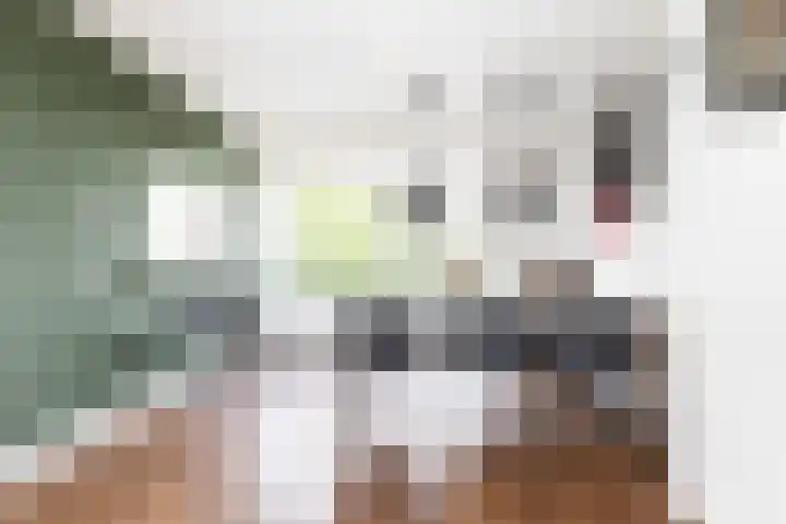 Palestrinalaan 78 Zwolle thumbnail 22