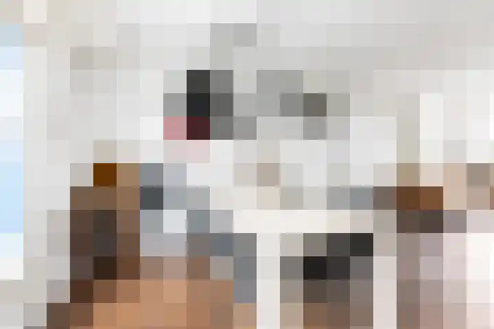 Palestrinalaan 78 Zwolle thumbnail 23
