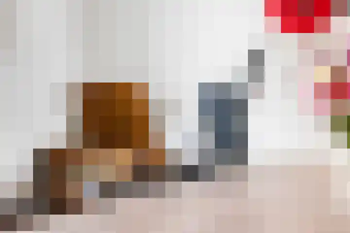 Palestrinalaan 78 Zwolle thumbnail 24