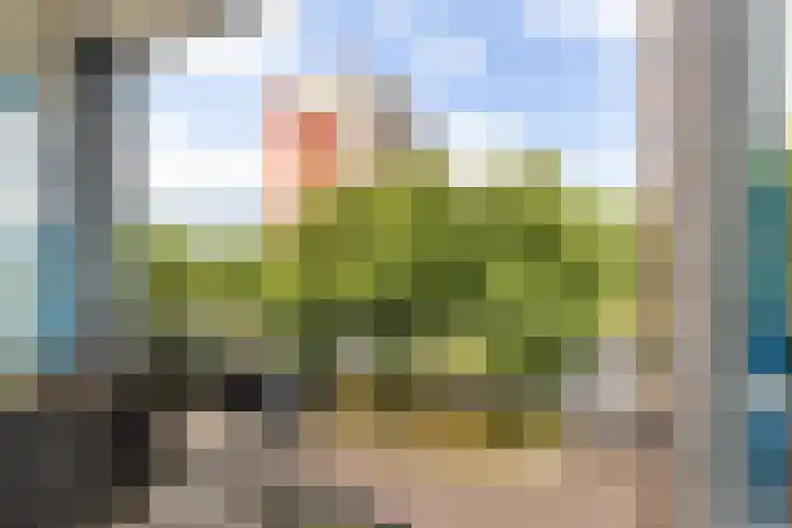 Palestrinalaan 78 Zwolle thumbnail 26