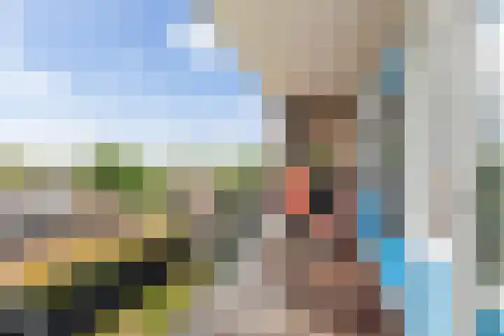 Palestrinalaan 78 Zwolle thumbnail 27