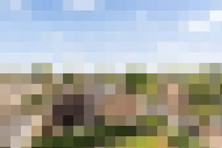 Palestrinalaan 78 Zwolle thumbnail 30
