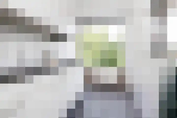 Palestrinalaan 78 Zwolle thumbnail 31
