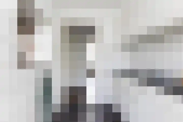 Palestrinalaan 78 Zwolle thumbnail 32