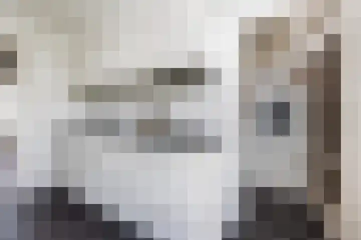 Palestrinalaan 78 Zwolle thumbnail 33