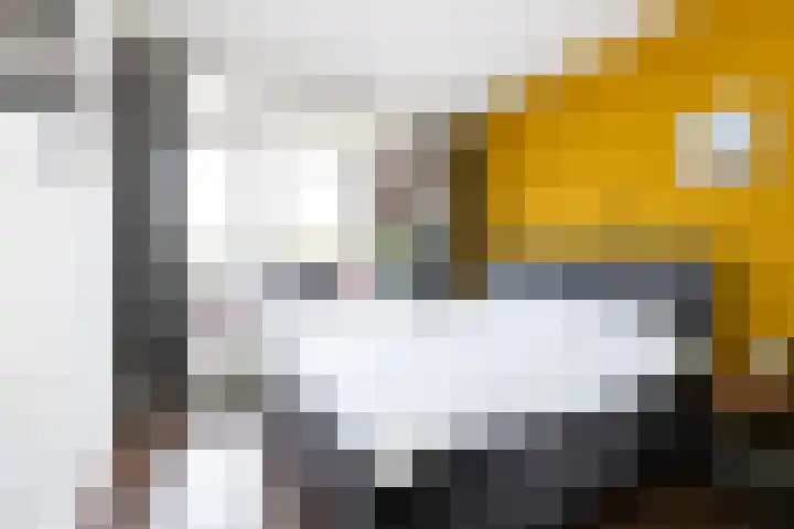Palestrinalaan 78 Zwolle thumbnail 37