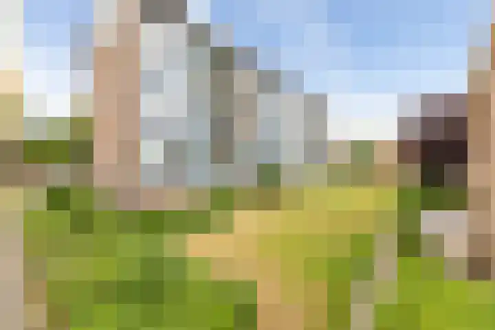Palestrinalaan 78 Zwolle thumbnail 38