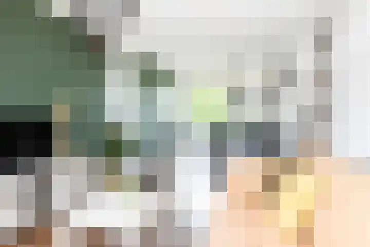 Palestrinalaan 78 Zwolle thumbnail 4
