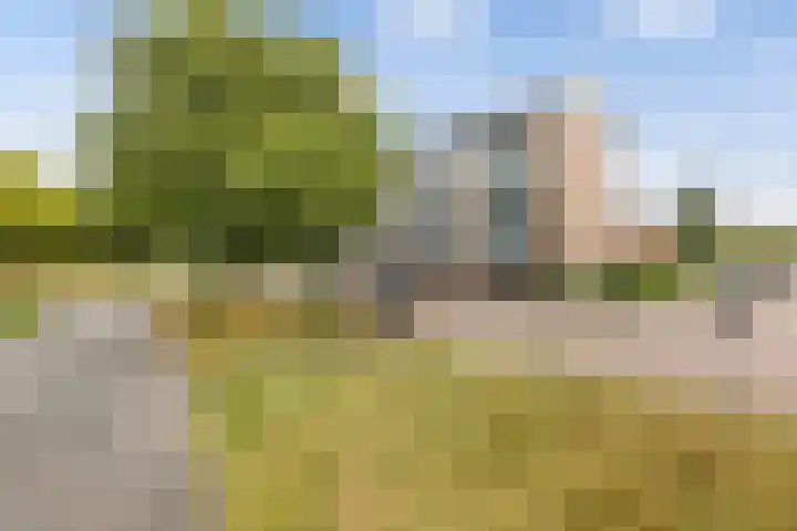 Palestrinalaan 78 Zwolle thumbnail 43