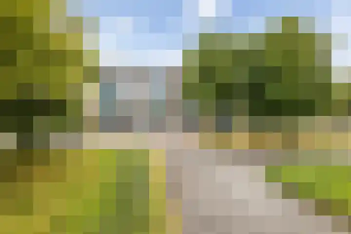 Palestrinalaan 78 Zwolle thumbnail 6