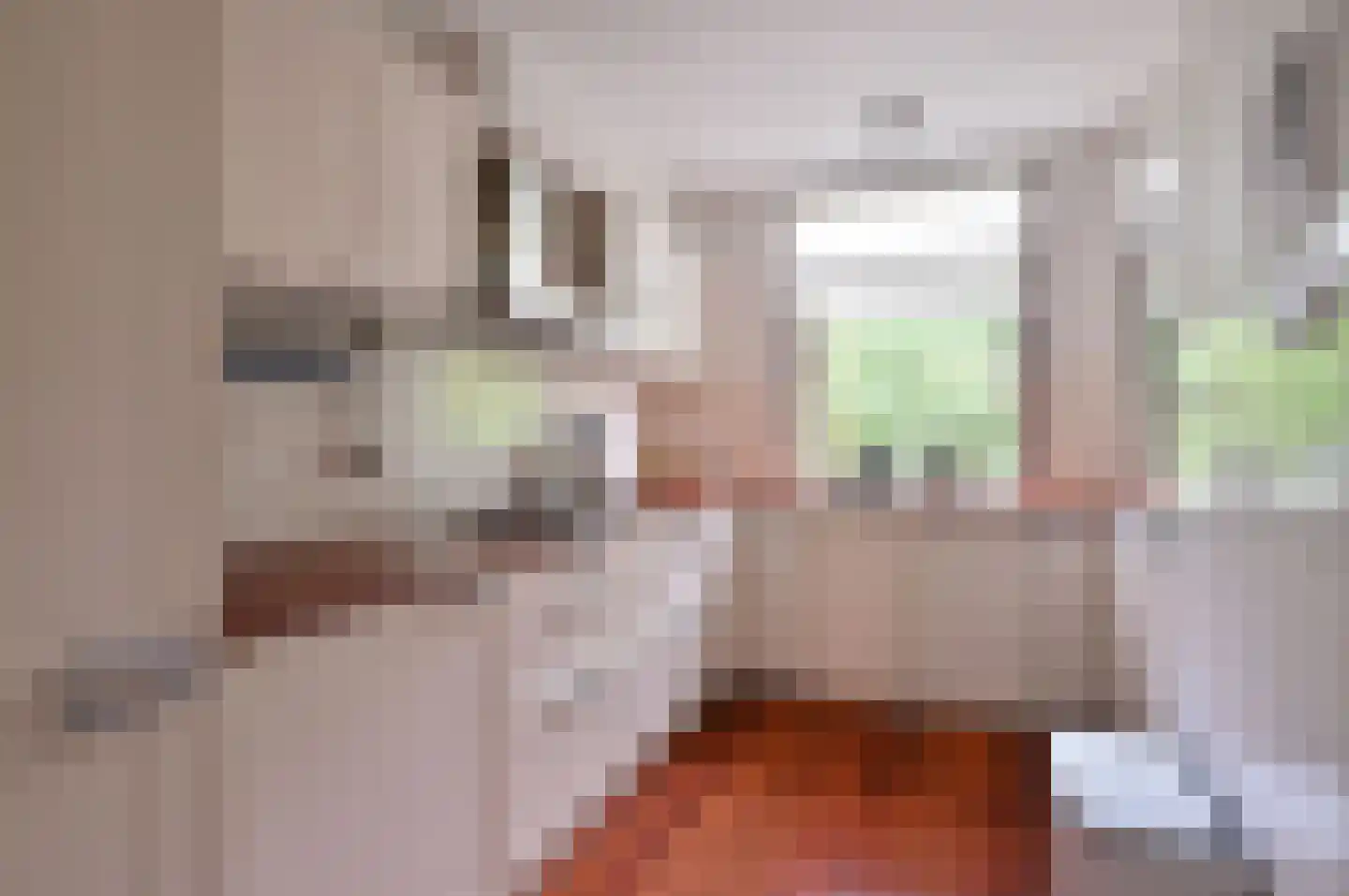 Palestrinalaan 8 Hilversum thumbnail 10